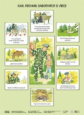 Экологическое воспитание в детском саду. Плакат. Как лесник заботится о лесе. (ФГОС) /Николаева.